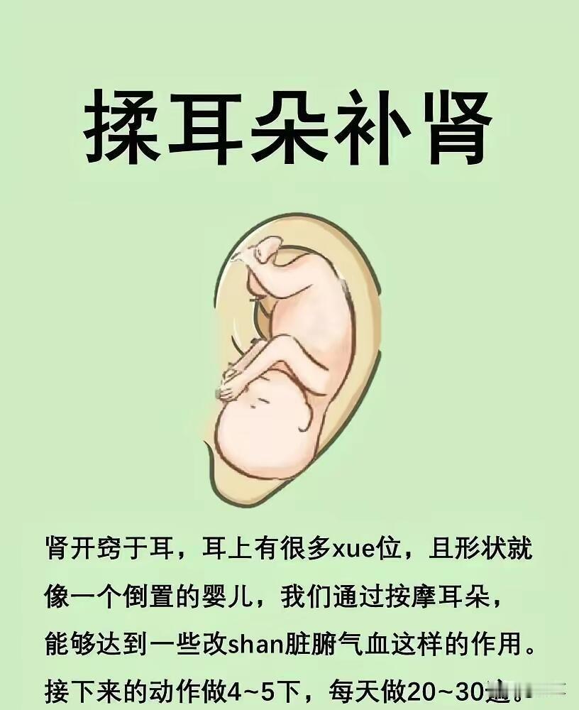 揉耳朵=养肾！4步耳朵按摩法，每天5分钟，把肾气“揉”回来
 
中医说“肾开窍于