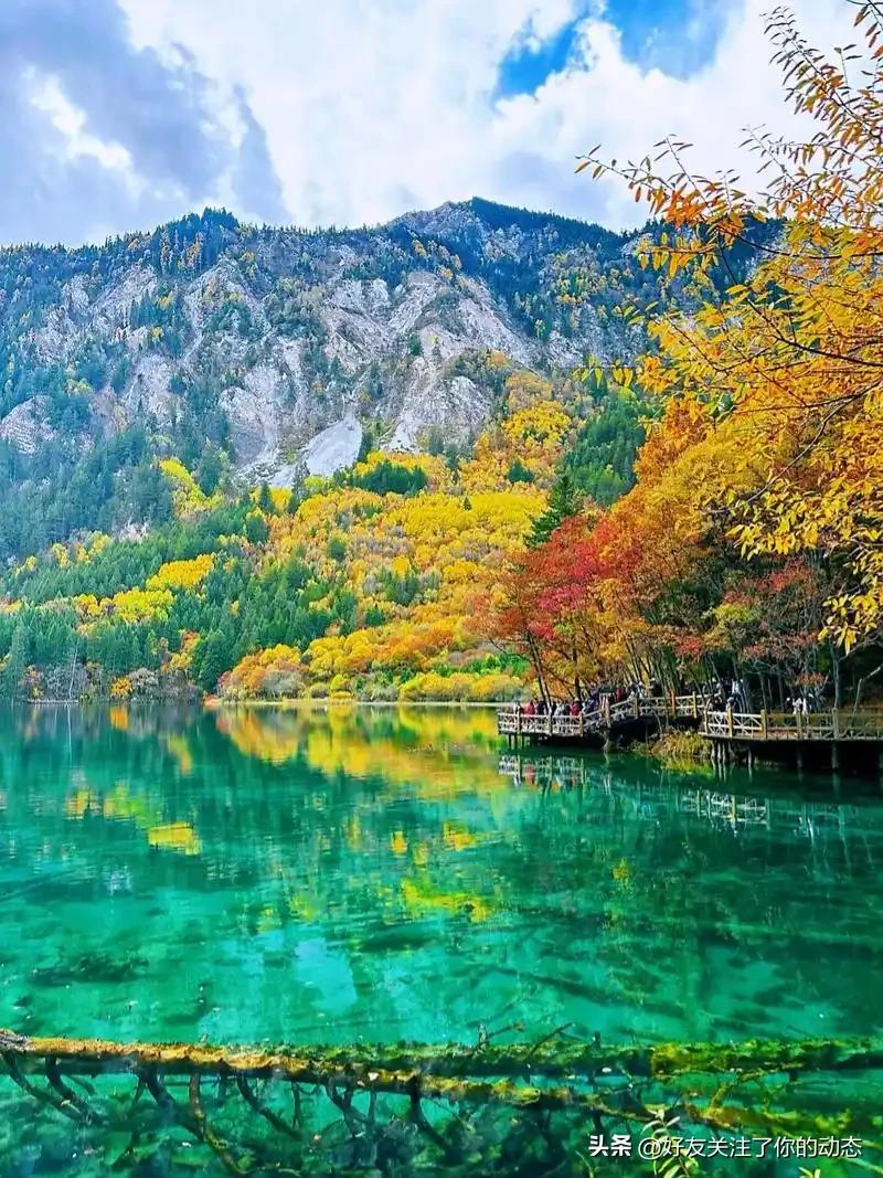 人间秘境九寨沟
 
        素有“九寨归来不看水”的说法，坐落于四川阿坝