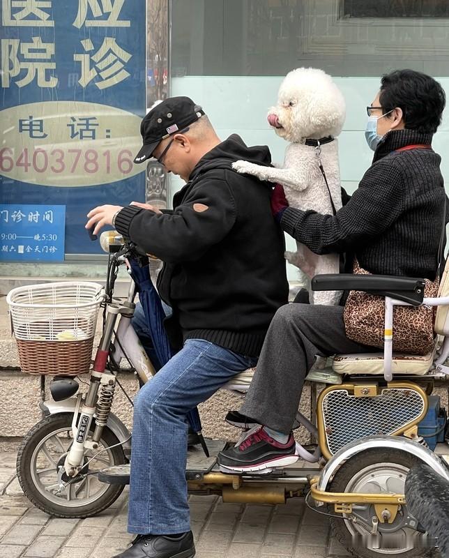 爱狗人士的素质体现在很多方面。真正有素质的爱狗人士，会给狗狗做好卫生防疫，定期打