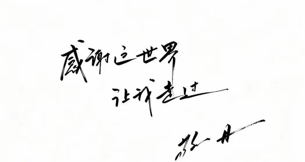 看到她的绝笔，心里咯噔了一下
 
“感谢这世界，让我走过。”十个字，没有煽情，没