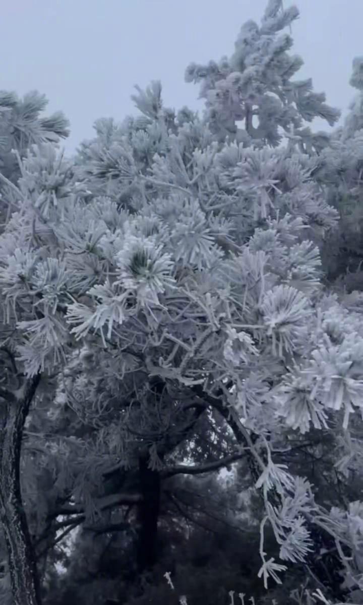 朋友们早，晒晒你家下大雪了没？ 