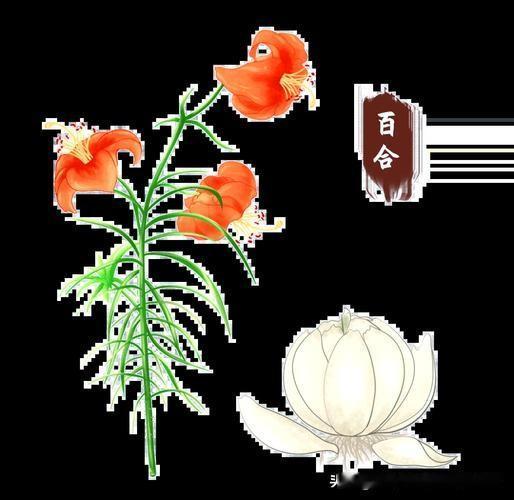 肾虚分5种:一是肾精虚，二是肾气虚，三是肾阴虚，四是肾阳虚，五是肾阴阳两虚！千万