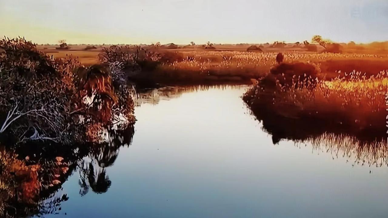 静静池中水，疏疏水草地