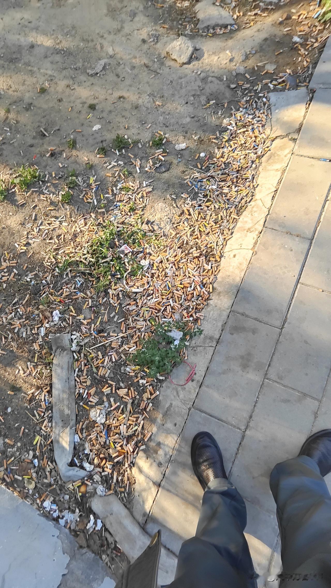 我挺反感的。我国有超3亿烟民，抽烟不仅危害自身，还影响他人健康，国家都在开展“控