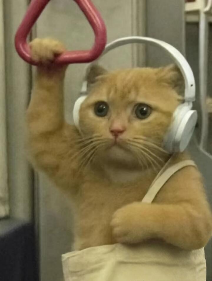 人生中第一次打卡应援就这样对我