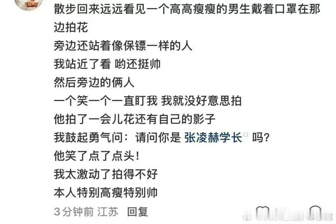 南师大偶遇张凌赫拍花  求偶遇张凌赫教程 