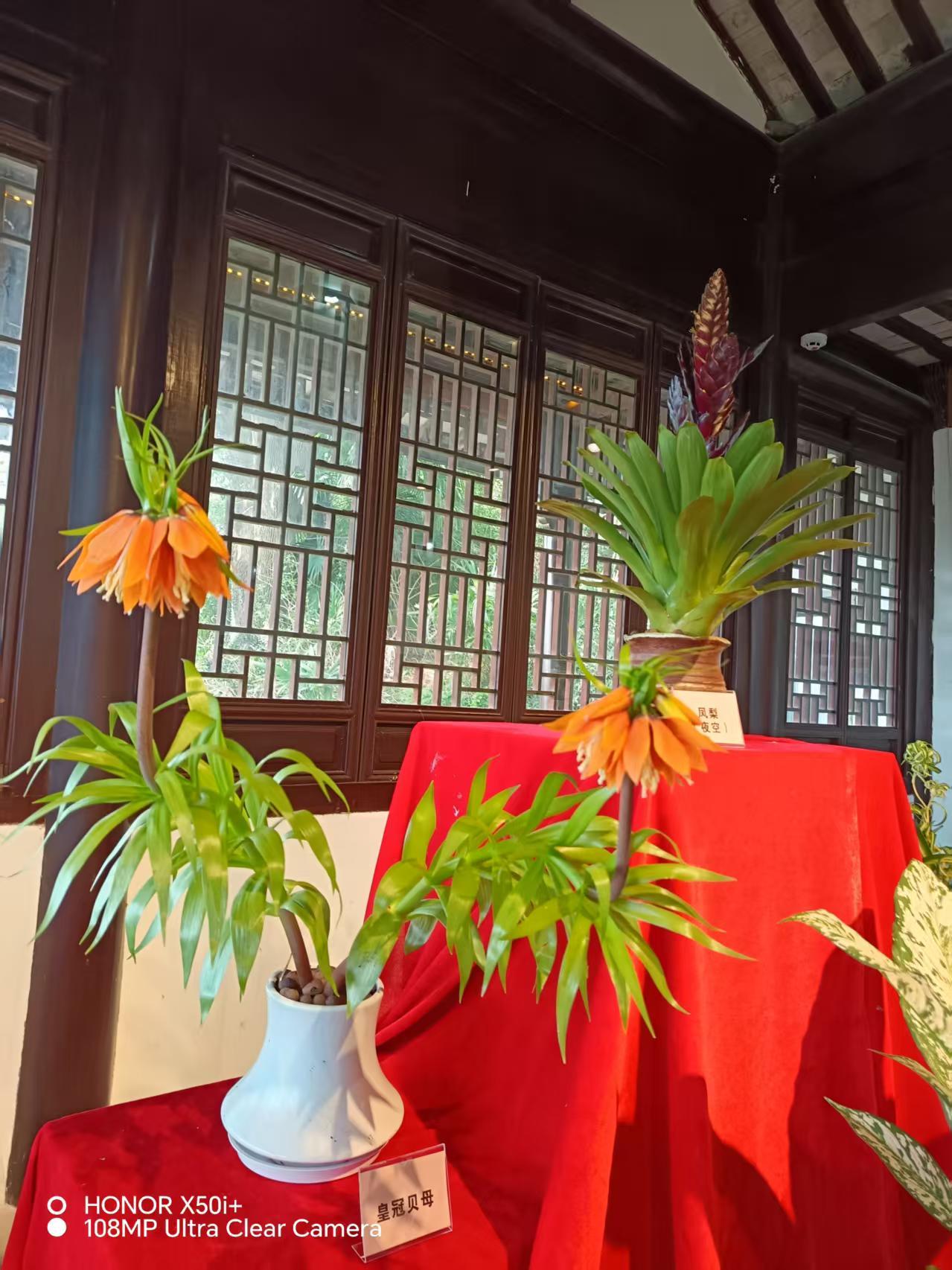 发一张你相册最近拍的花皇冠贝母于上方山百花节展馆拍摄。