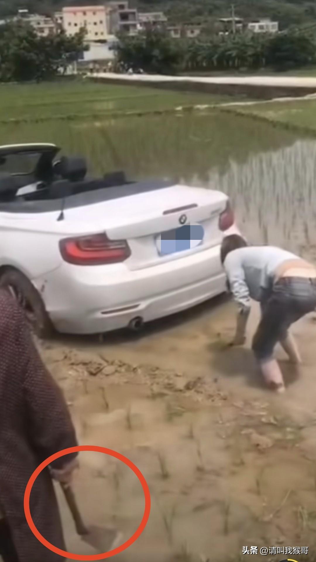 老农责令车主按原状恢复秧苗[捂脸][捂脸][捂脸]