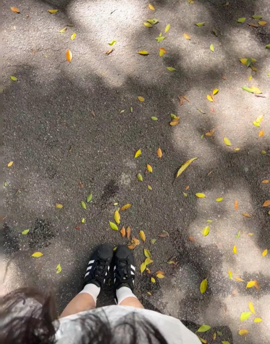 上海乖乖女 好zhui的 接受婚检（有照片）
上海 上海citywalk