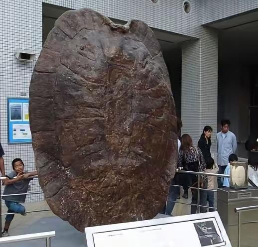 1994年5月，江苏盐城千秋大桥施工现场，竟然发生一件离奇怪事，早起的工人们更是