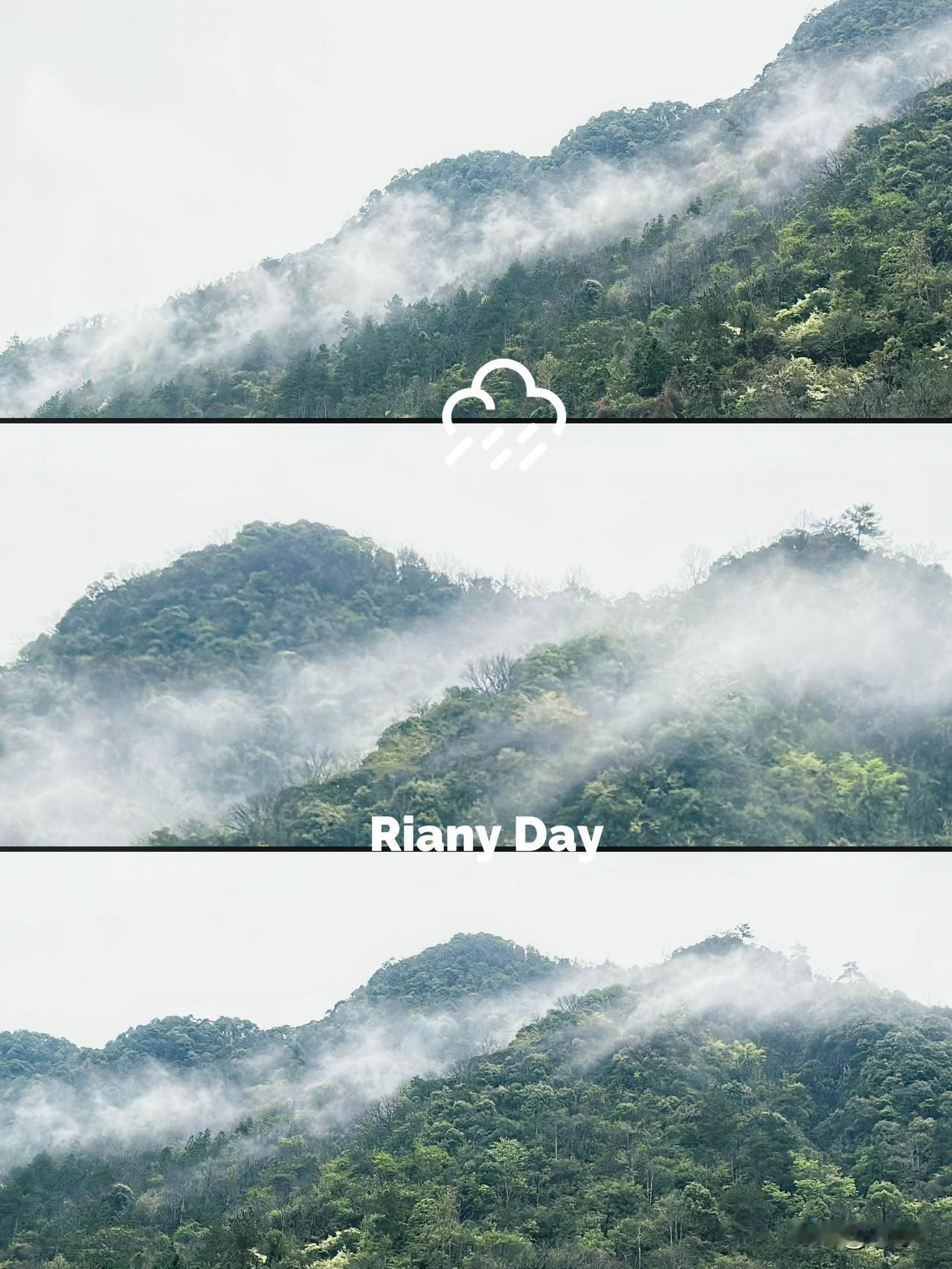 Hello，今天又下暴雨，上三清山吗？

二刷三清山，想看的都看了，意满离。雨雾