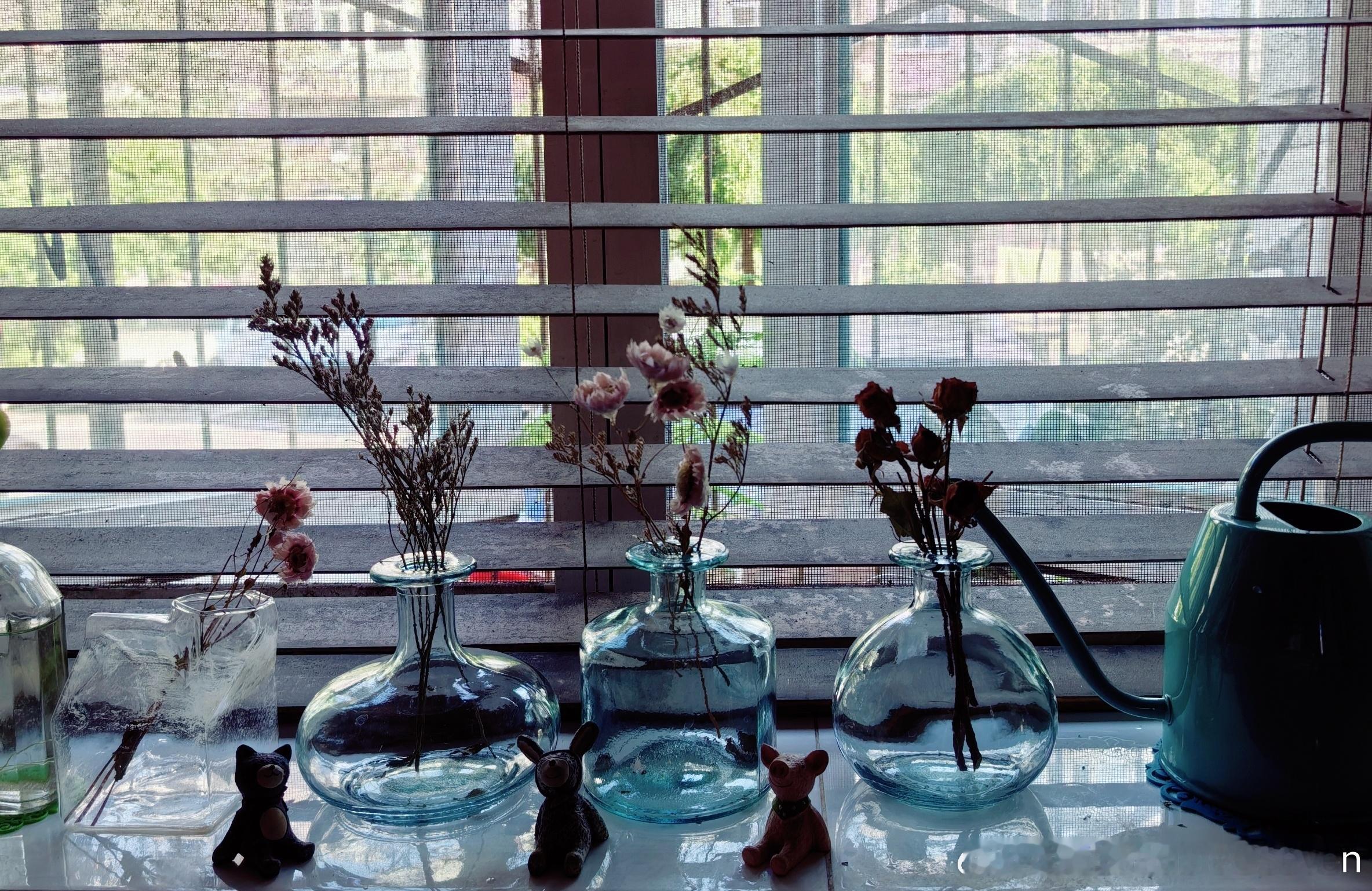 纪念物 干花确实比仿真花耐看多了[咖啡] ​​​