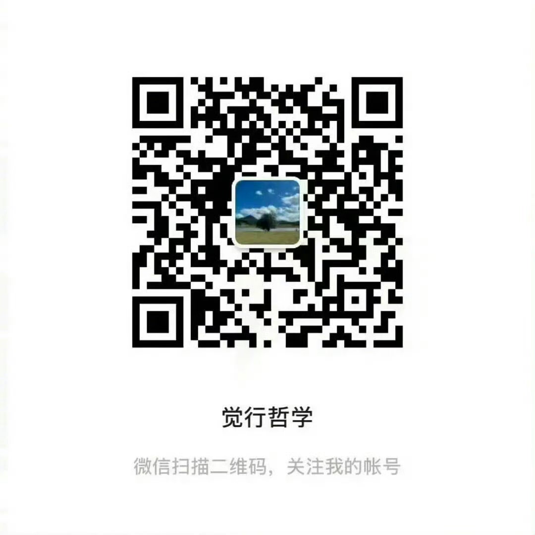 一套非常适合用来落地实践的哲学体系，《觉行哲学》微信公众号启航，欢迎大家关注。 