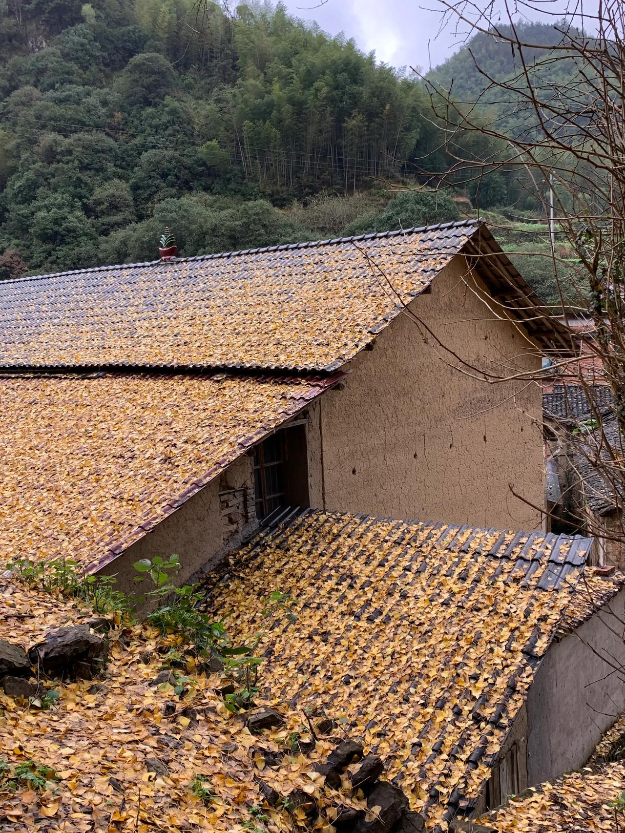 你会选择与好友一起自由行吗？

昨天好友问我，退休后愿意与她一起自由行不？走到哪