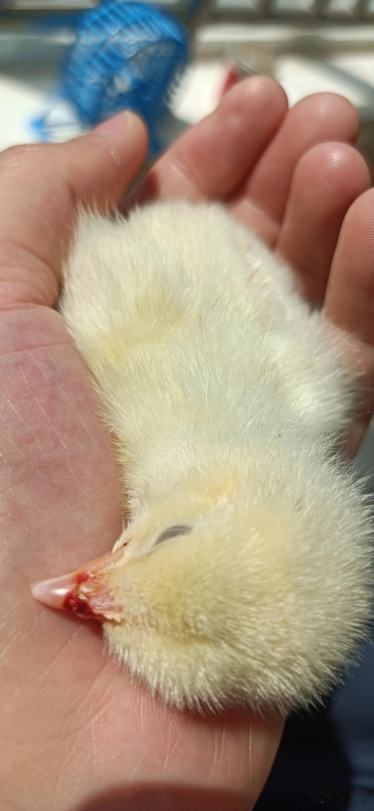 真虚心和真实解决民营企业问题，首先该向这些民营企业主详细了解问题、意见等切实问题