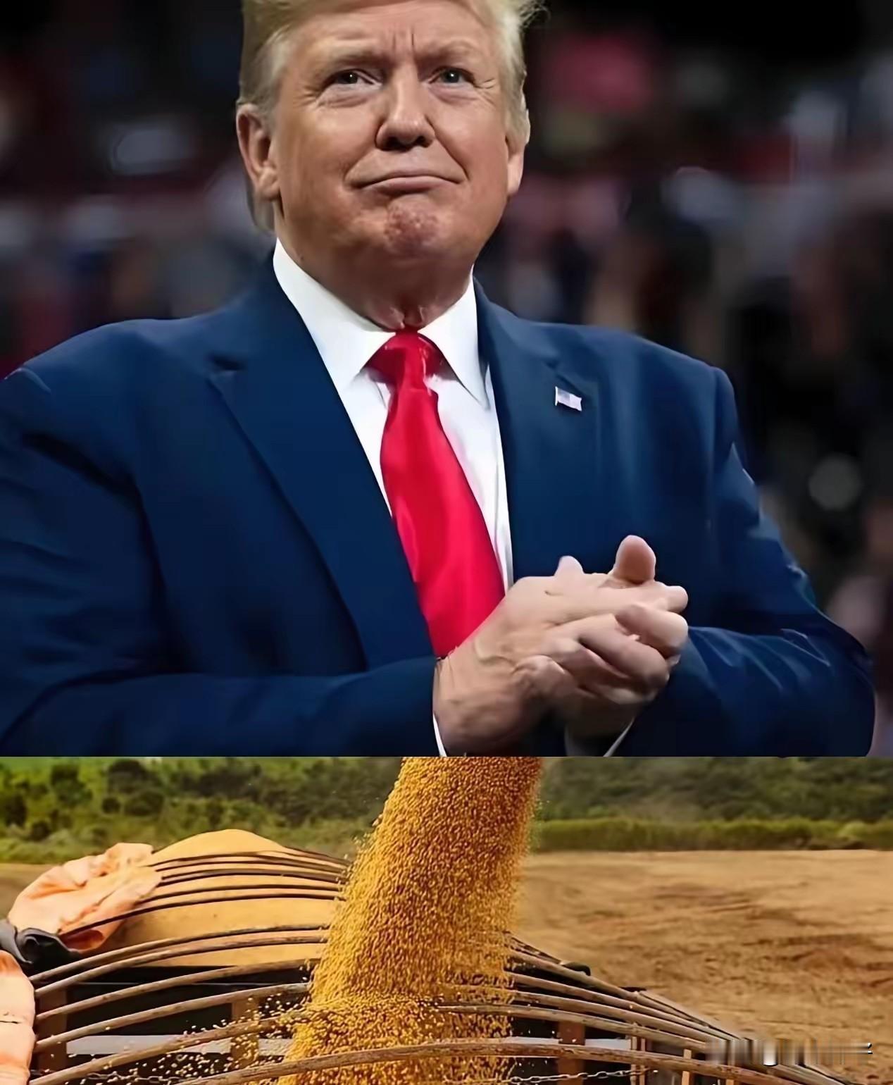 果真被大家猜对了，
18万吨大豆刚交易成功，
特朗普就在社交媒体上发声称这与芬太