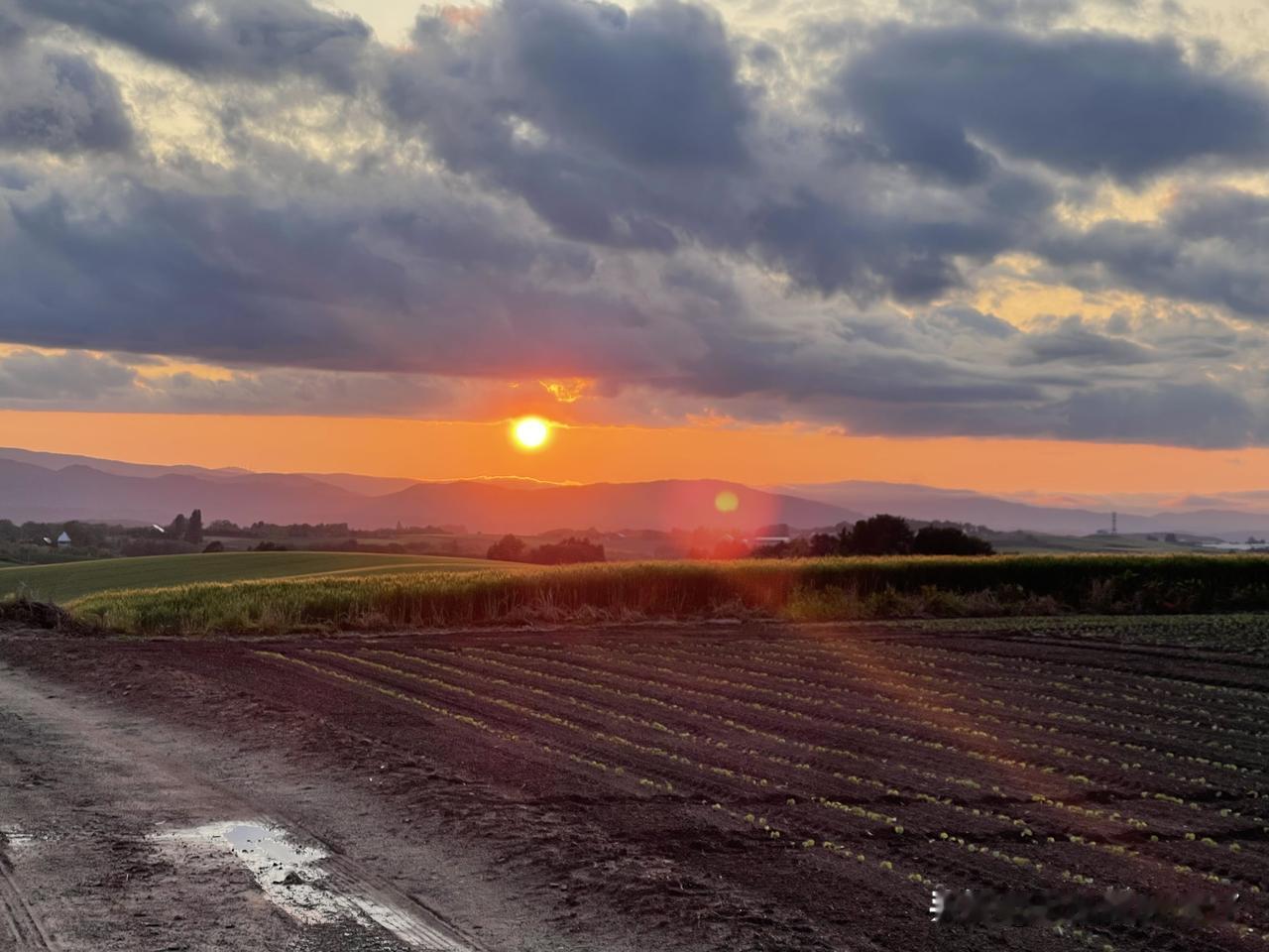 分享一张相册里随手拍的天空夕阳、晚霞、落日，最美不过夕阳红；莫道桑榆晚，为霞尚满