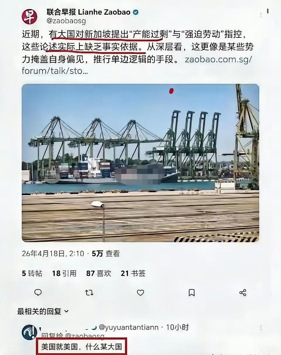 新加坡哭诉，连名字都不敢提。还某大国。