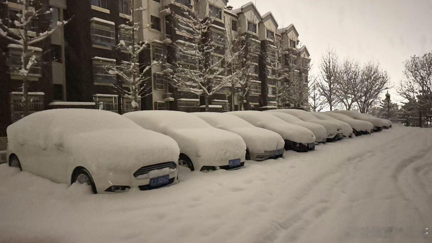 【北京为何这次雪花这么大】好家伙！这次北京的雪花贼大，跟扯棉絮似的。主要是暖湿气
