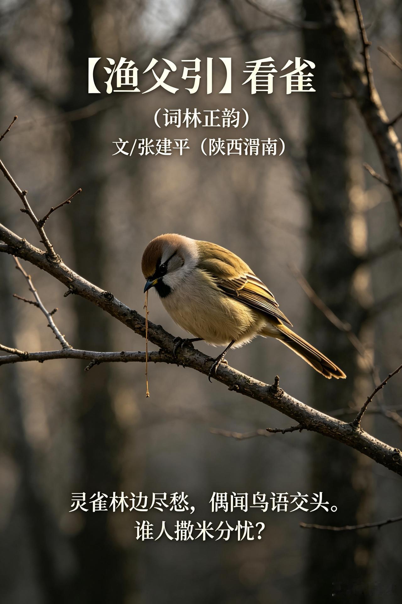 好诗细品