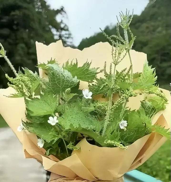 拿去送你男朋友🤣