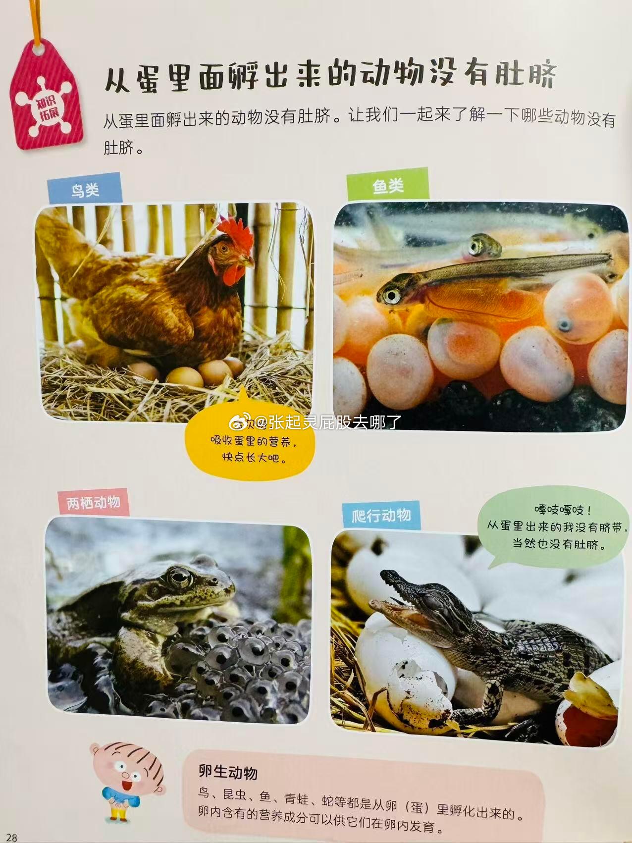 肚脐眼里面居然有这么多门道 