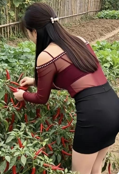心灵短笛
今年辣椒🌶种的多。现在正在摘辣椒🌶。客户上门来收购。剩下的留零售。