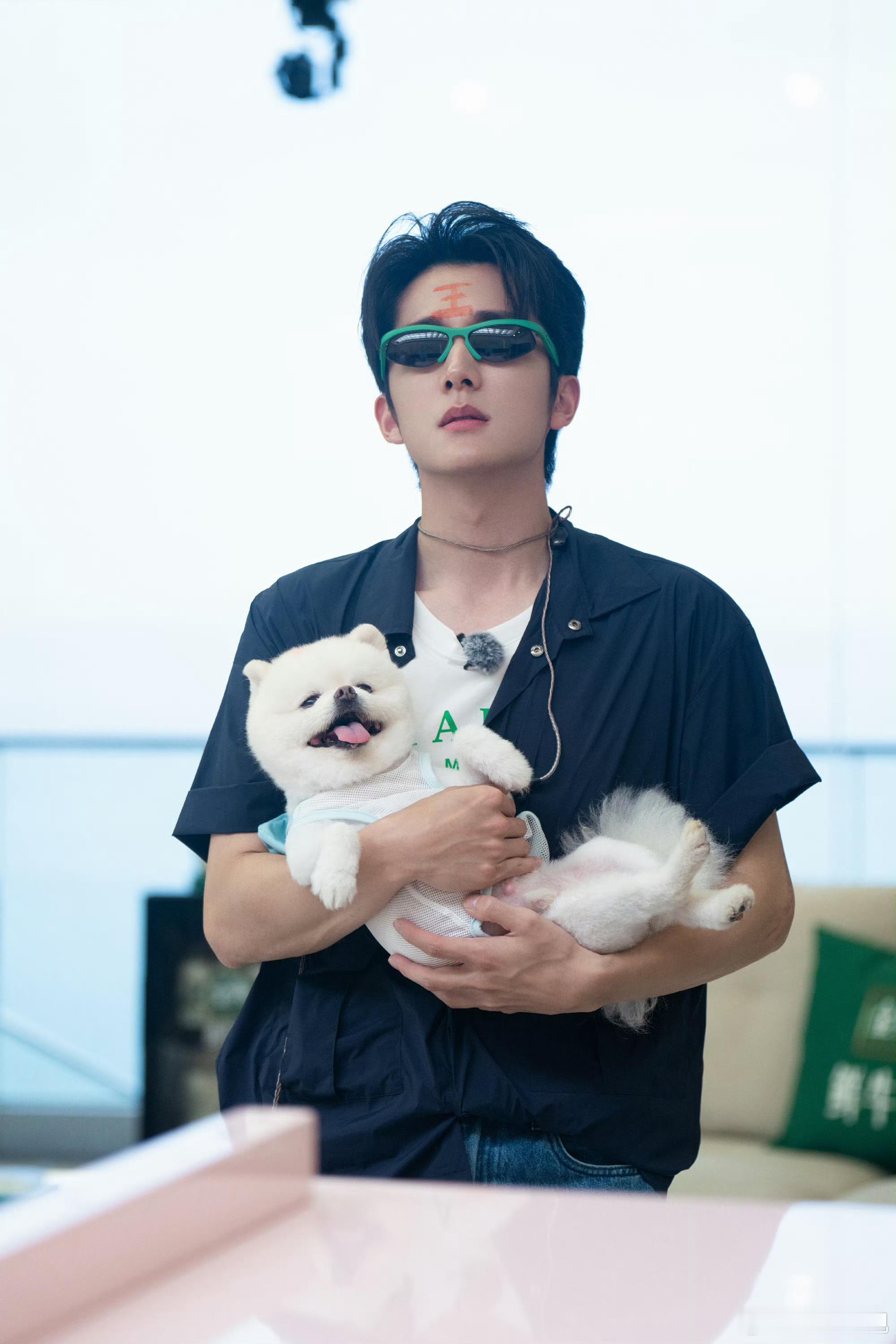 张新成之王，是大小王的王，安安静静谈琴的样子也太迷人了吧！ ​​​