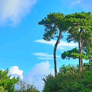 勇者克里斯蒂9F3L