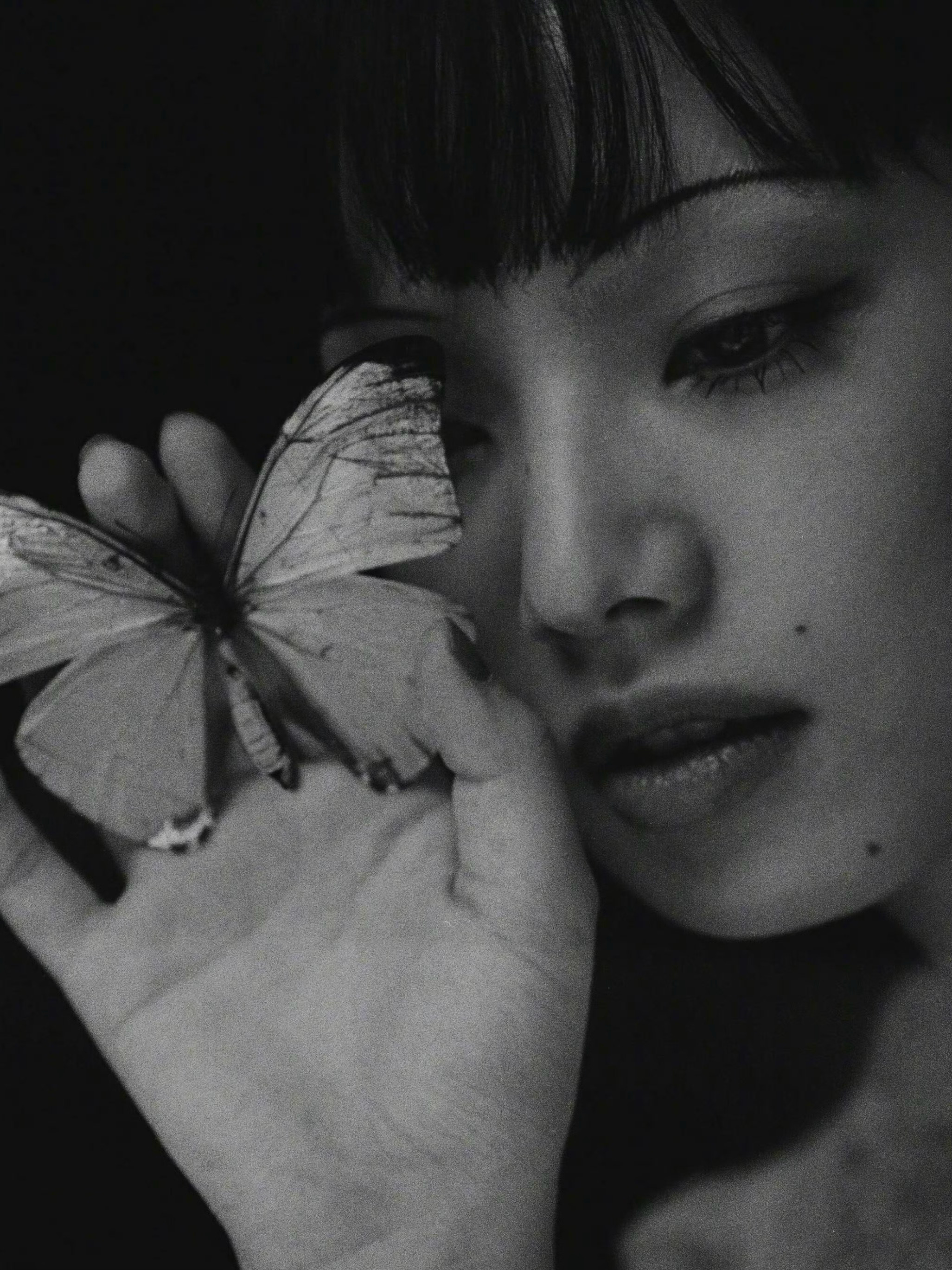 🦋2023年，小松菜奈登上《时尚芭莎》日本版的一幅艺术写真，出自摄影师张家诚的