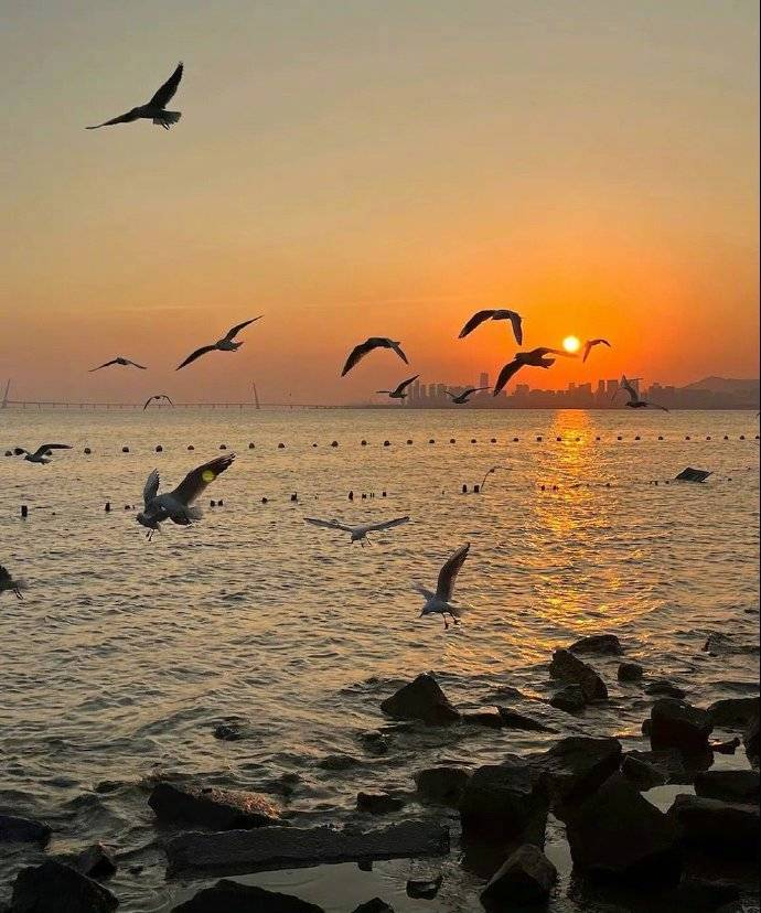 如果你赶不上凌晨五点的日出 不妨去看看晚上六点的夕日落  