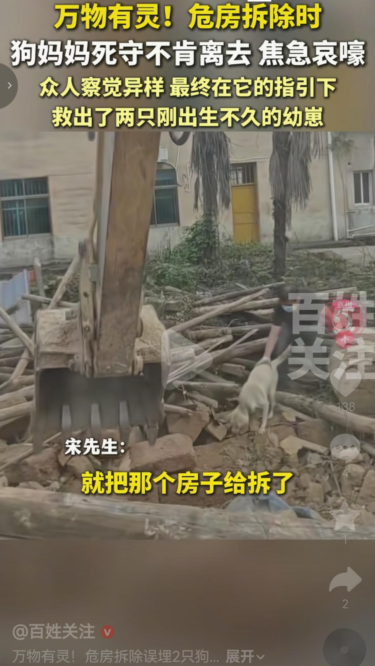 危房被推平的瞬间，狗妈妈疯了一样往废墟里冲，挖机师傅当场停手
 
“挖机再往前开
