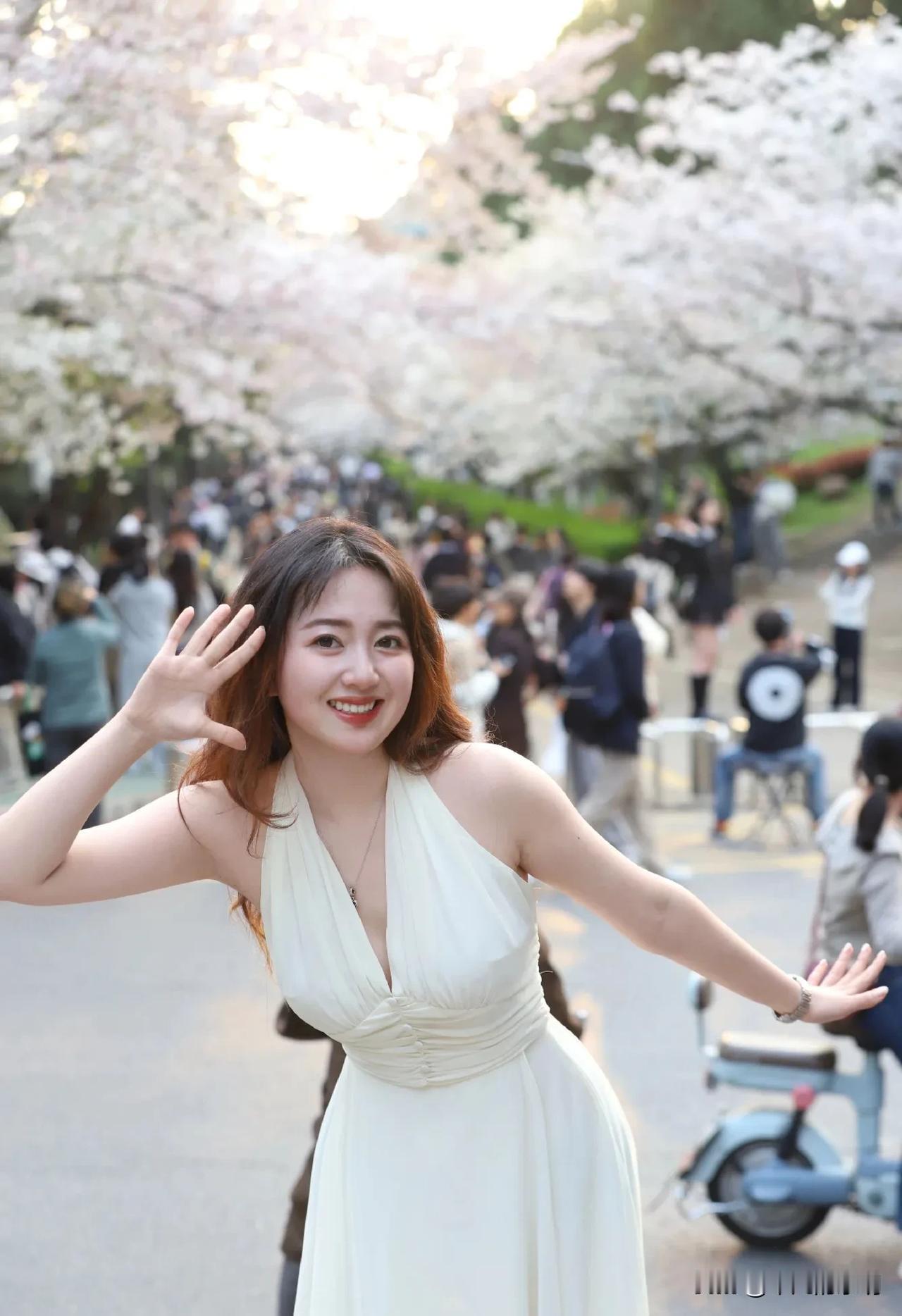 春天的樱花盛开的特别茂盛，必须打卡留念！