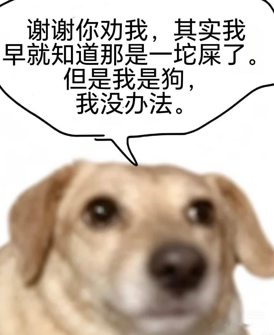 看Half Man的时候我直接化身xhs那种“你的手很糙但是我的手就很嫩啊”的贱