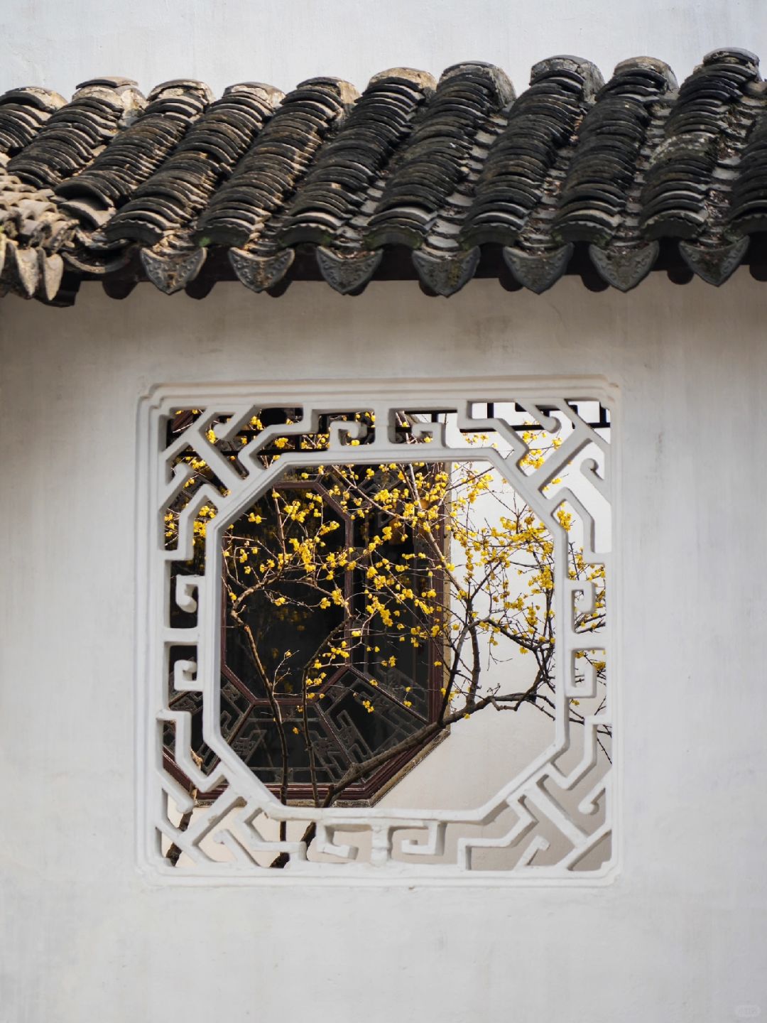 在苏州，我见到了诗词中的“尺幅窗，无心画”