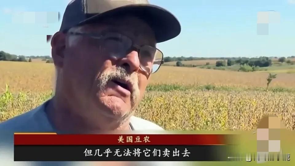 中国这波大豆订单太懂拿捏了！美国豆农终于松口气，但这“喘息”里藏着的门道才真精彩