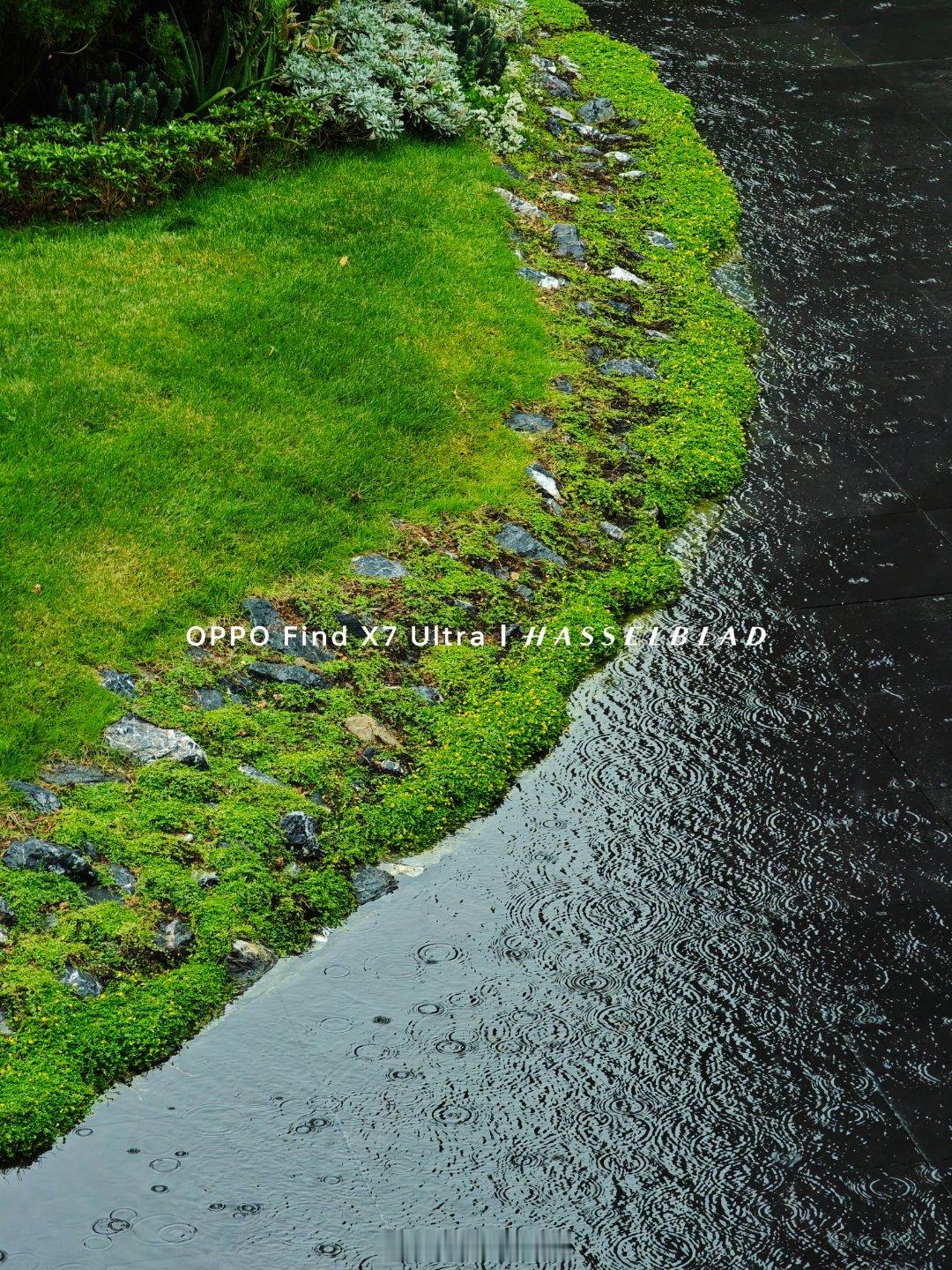 今天的广州，室外体感温度比上两周去北京的时候的印象还冷。冷冽的寒风刮得头疼。 ​