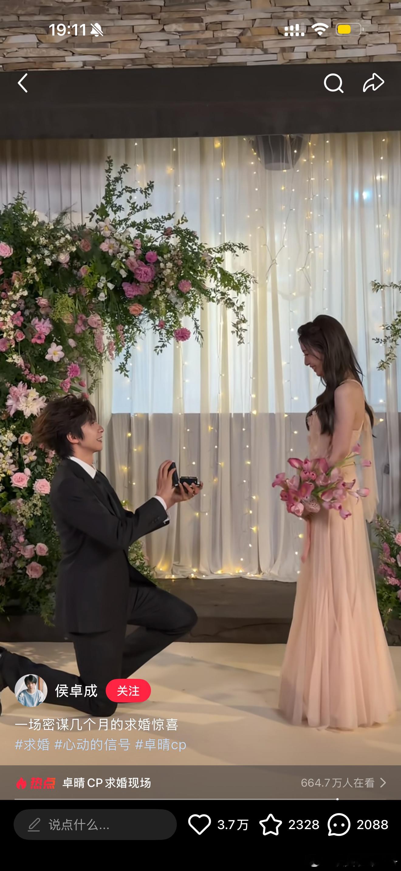 卓晴求婚了！！！我的妈呀，真的爱到这种程度再结婚吧卓晴和奇闻绝对是理想中少女心事