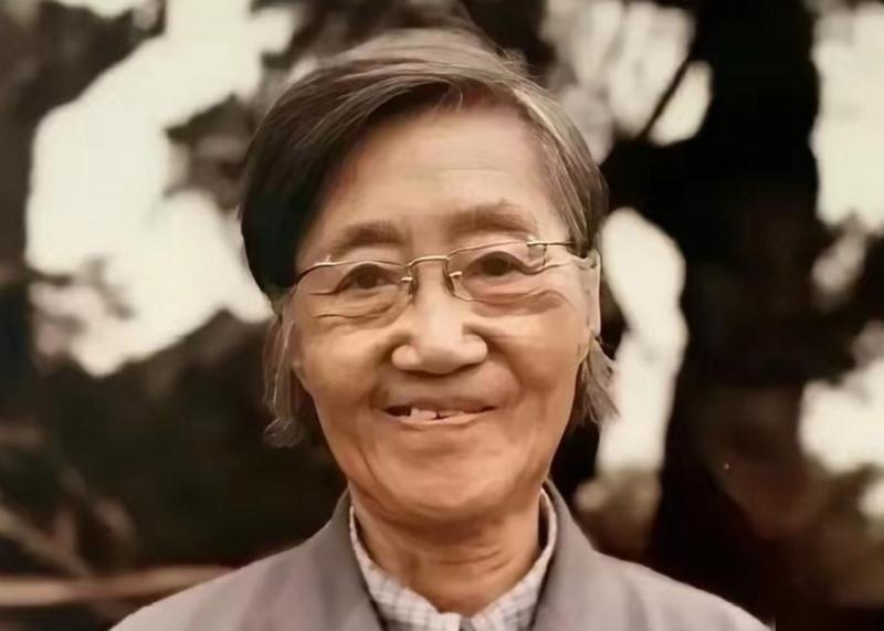 1956年，科学家王承书与儿子回国时遭到美国工作人员阻拦，在搜查无果后，为了阻拦