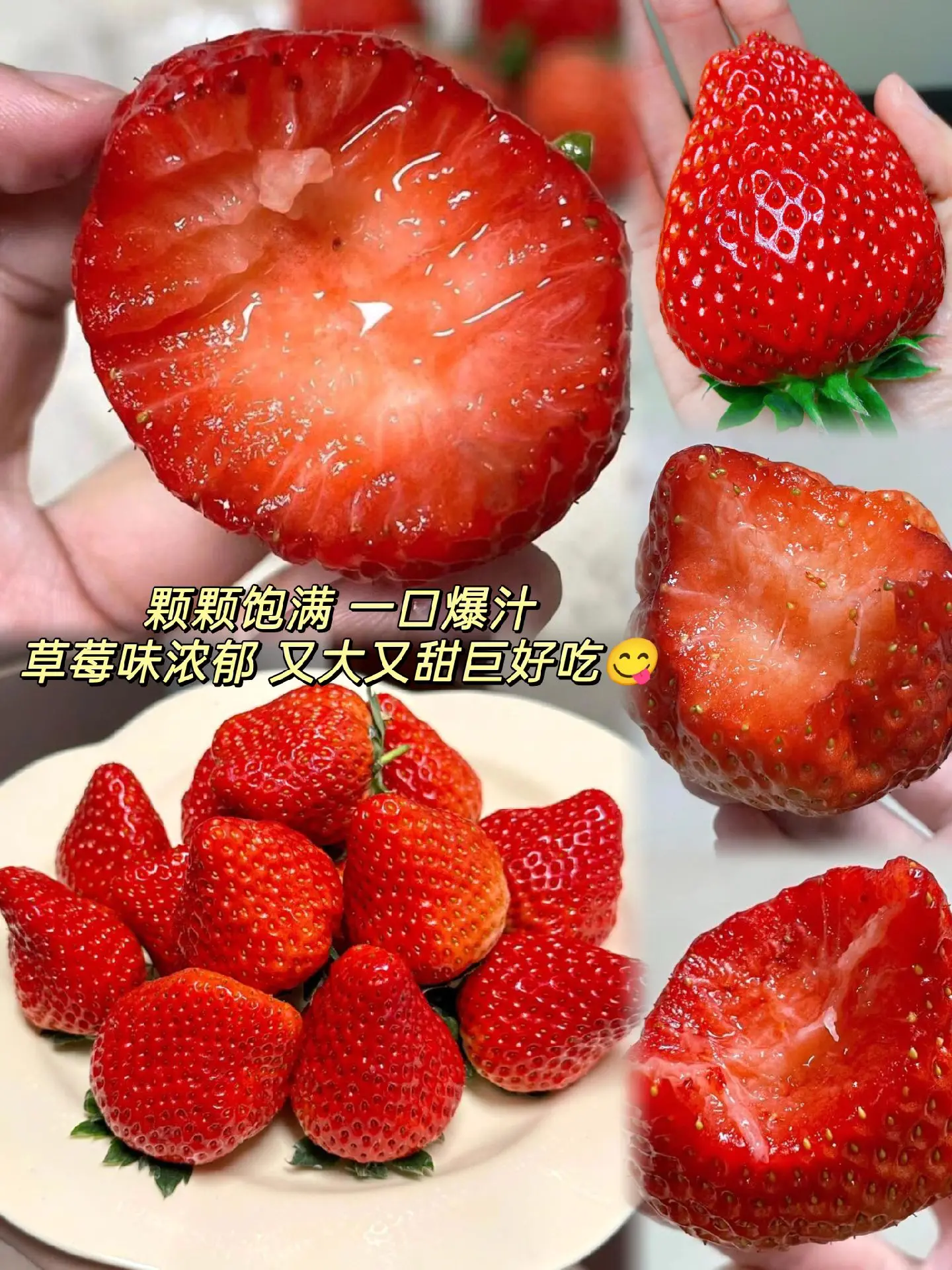 正宗丹东99奶油大草莓上市啦！我闷不吭声又囤了几箱，个大饱满新鲜，草莓...