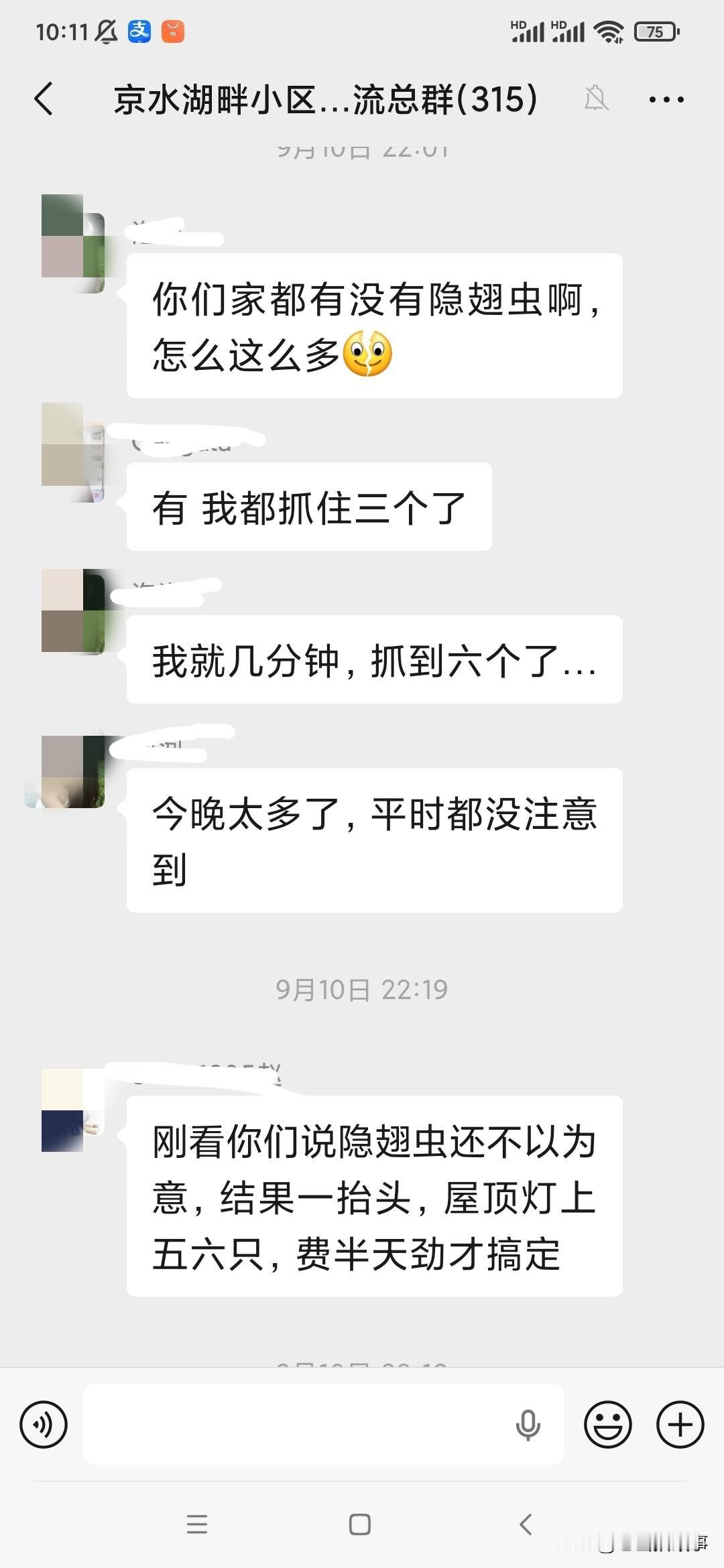 看看你家有此虫光顾吗？
小区业主家出现大量飞行硫酸——隐翅虫，业主群里好心业主互