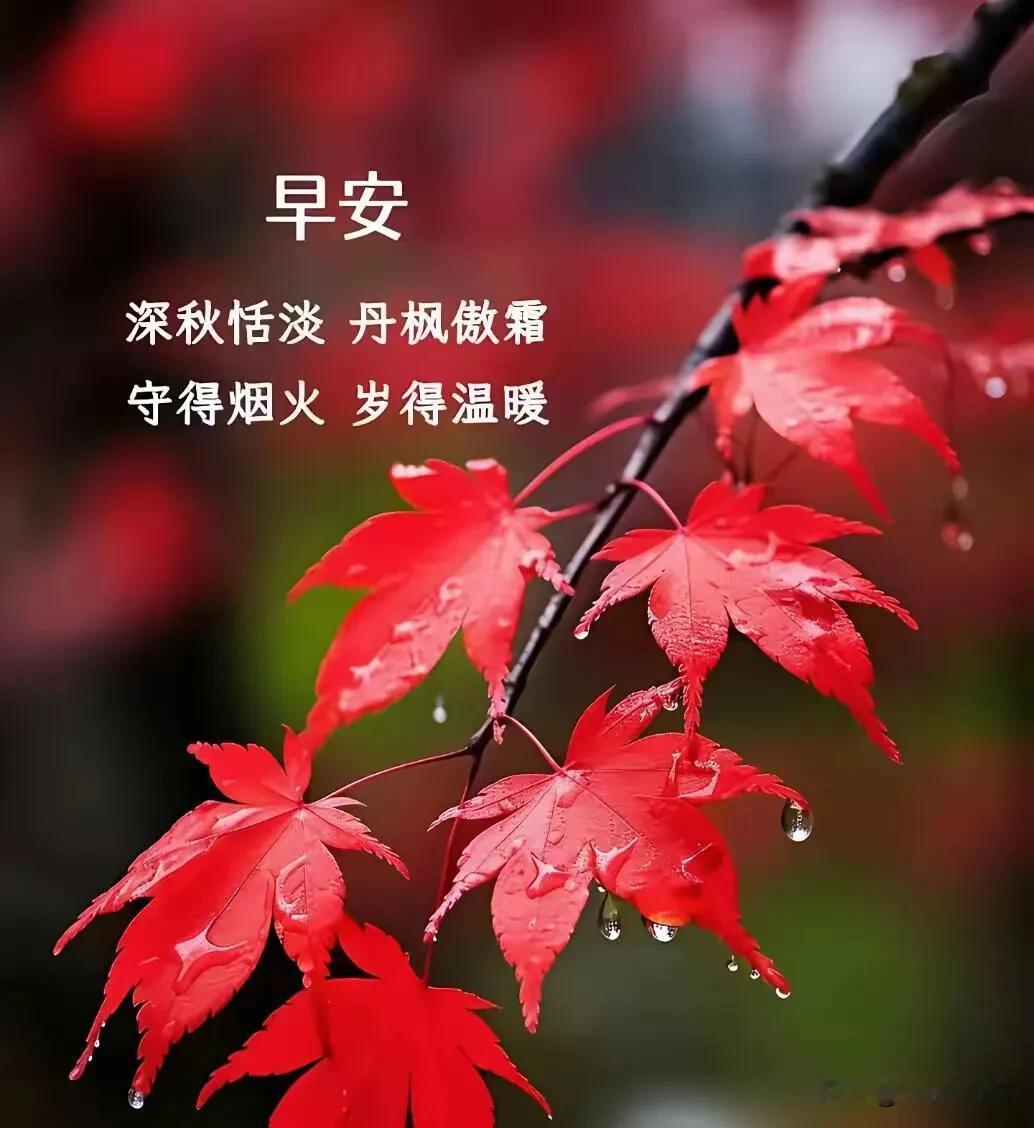 丹枫凝晨露，烟火暖流年，早安。