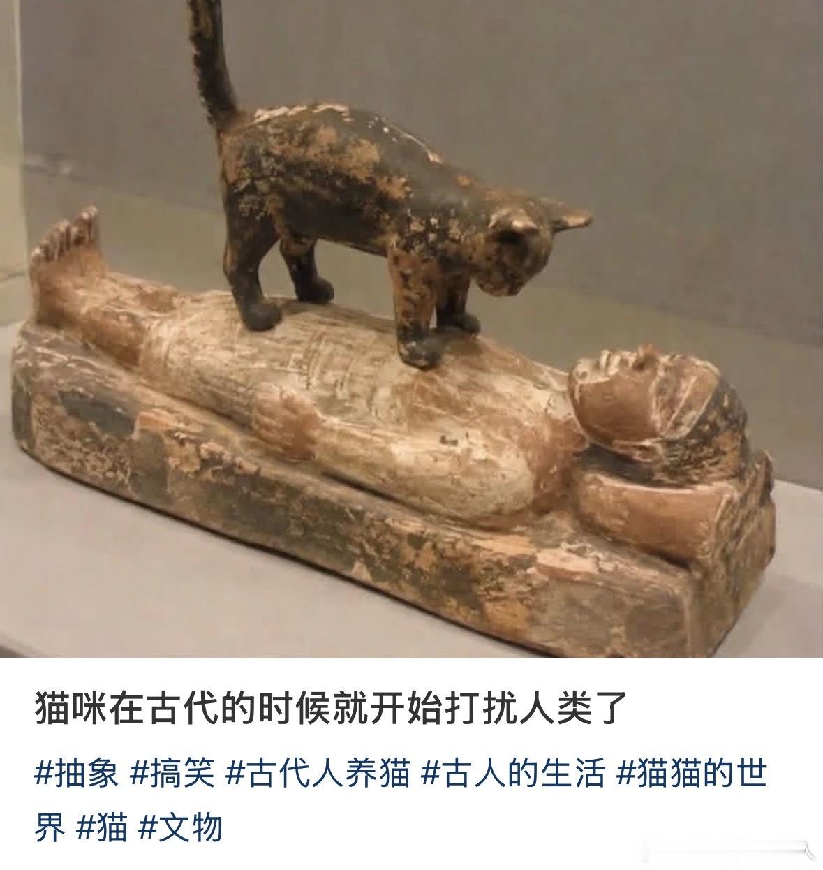猫的小脚踩身上来就跟用铁筷子捅肚子一样…谁懂 ​​​