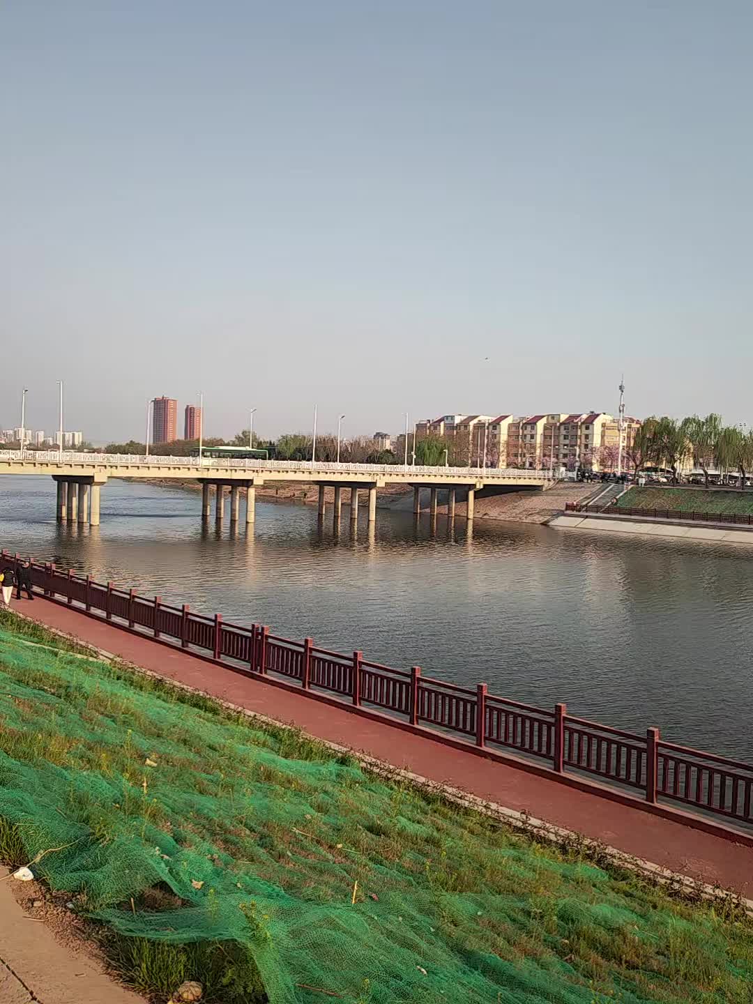 意识模糊伴言语不清的病人 中毒代谢性脑病几种最重要的影像学表现：白色即...