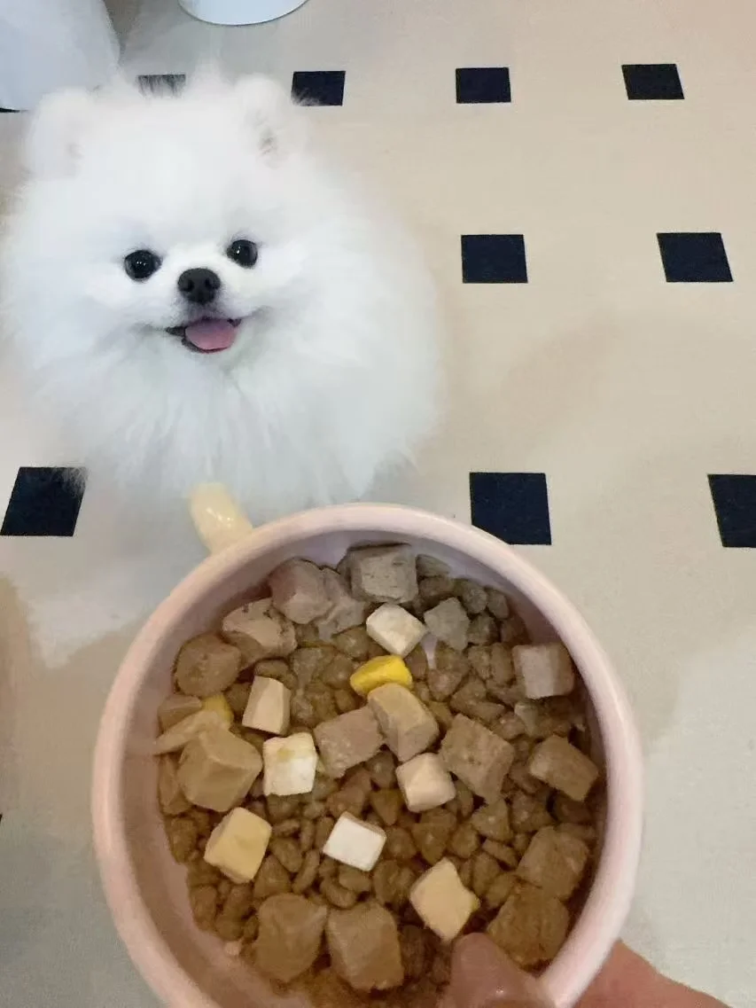 这货的吃相绝对疯狂啊😂