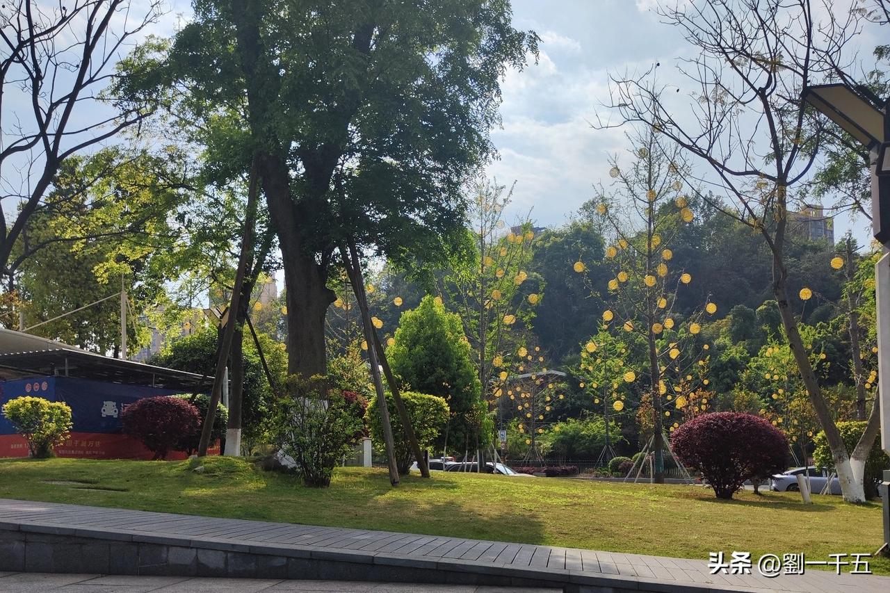 十多年前，两个打工仔都有点钱后，就没有再在外面跑生活了，而是各走了一条路。
王二