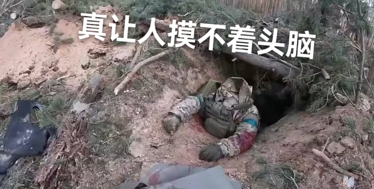 #联合调查组认定饭菜中异物是鼠头#那么问题来了，鼠鼠的身体去哪里了呢？ ​​​