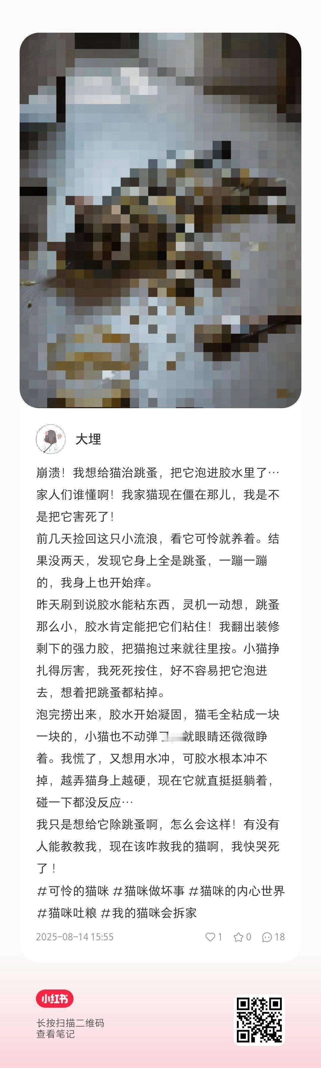 坏人较劲脑筋不如猫孝子灵机一动 ​​​