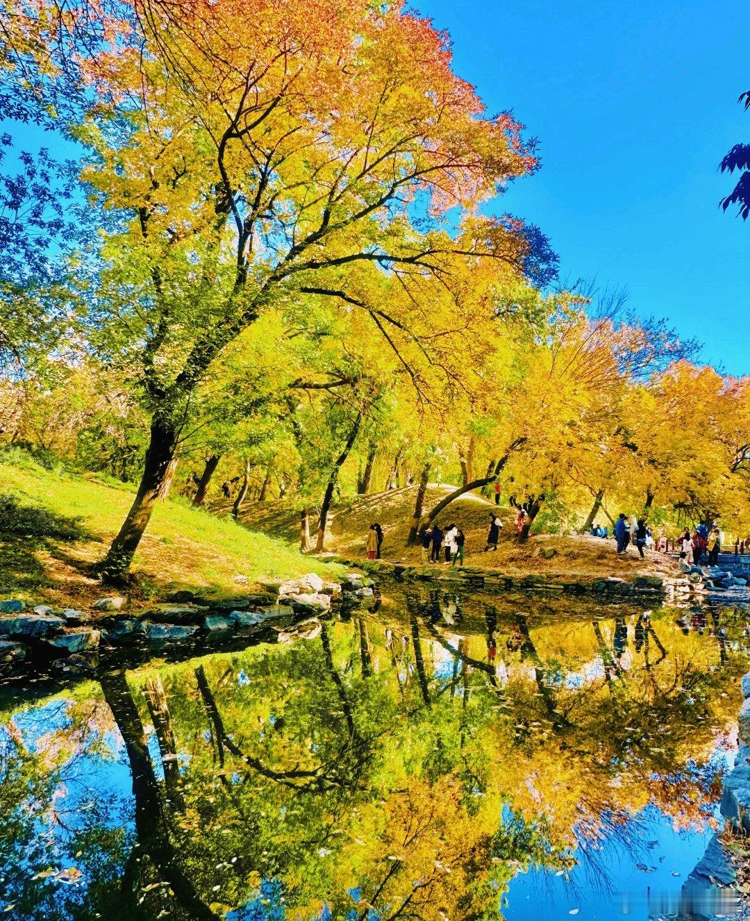 这些消息刷屏全球，不出意外它们才是明天的焦点！这个周末市场是真不平静啊，利好满天