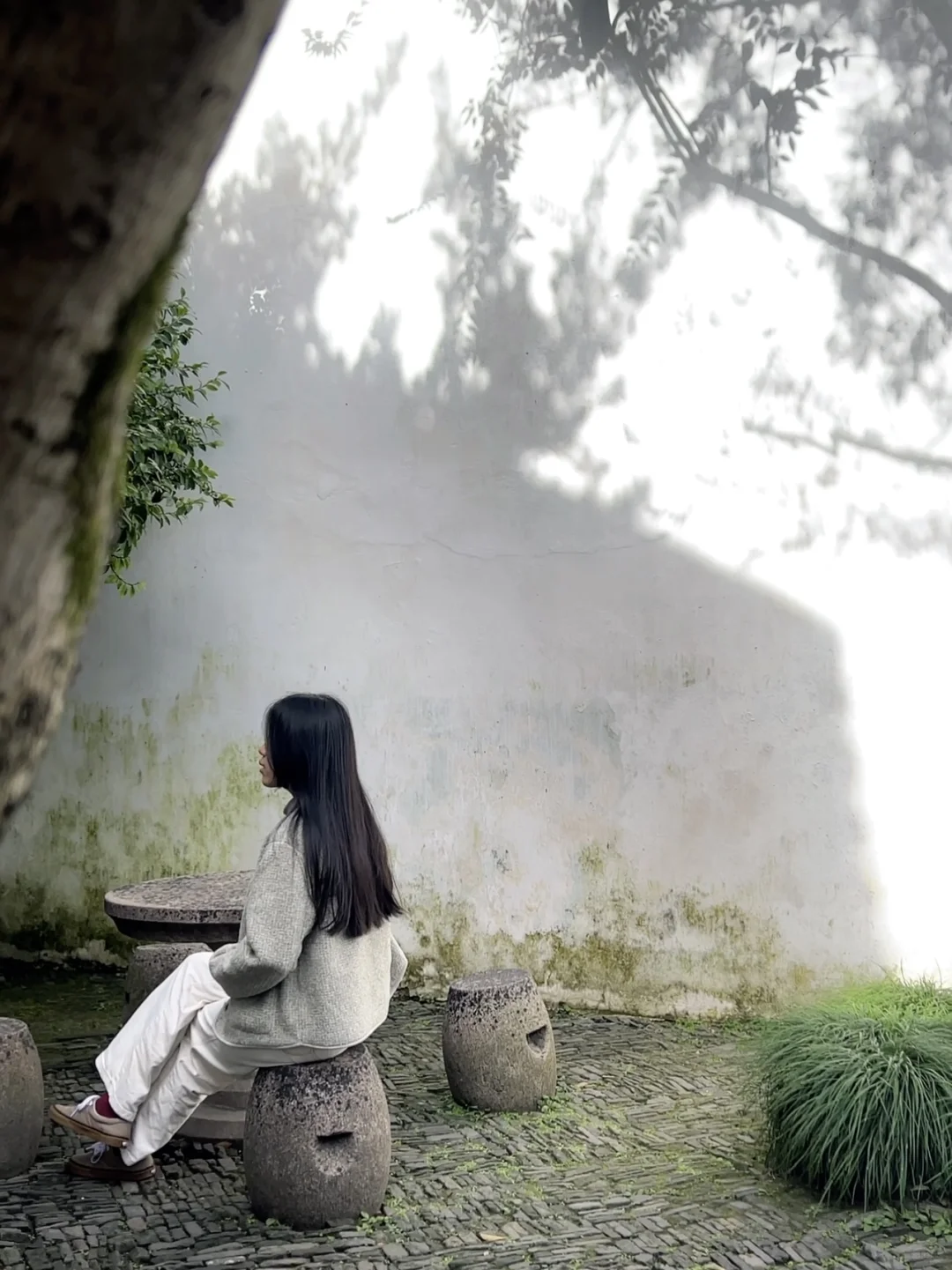 审美提升现场｜永远为东方美学心动